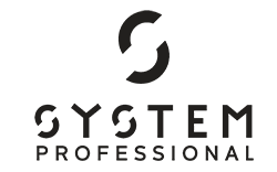 systemprofessional